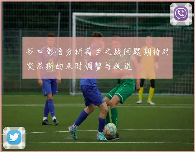 谷口彰悟分析荷兰之战问题期待对突尼斯的及时调整与改进