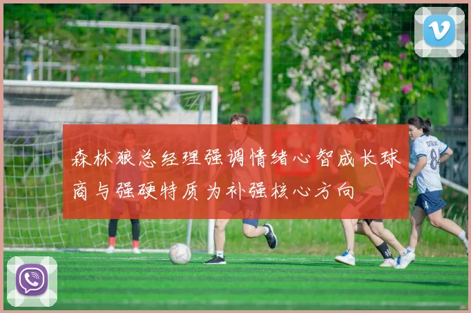 森林狼总经理强调情绪心智成长球商与强硬特质为补强核心方向