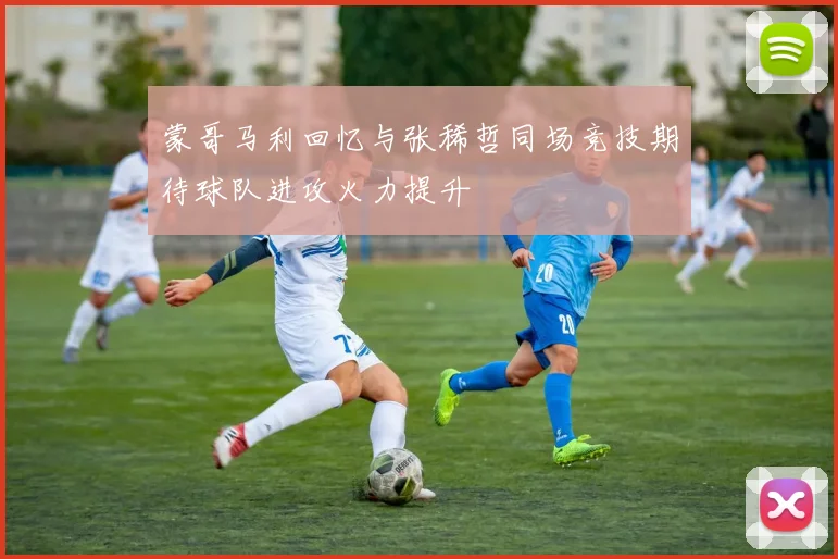 蒙哥马利回忆与张稀哲同场竞技期待球队进攻火力提升