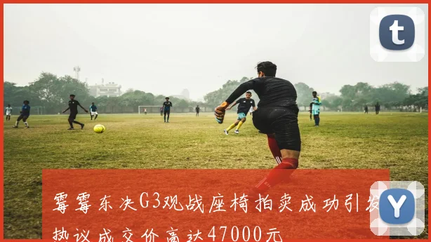 霉霉东决G3观战座椅拍卖成功引发热议成交价高达47000元