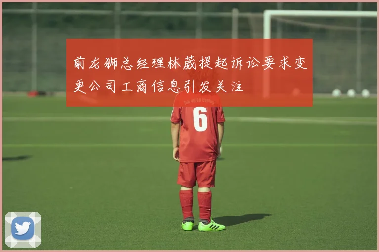 前龙狮总经理林葳提起诉讼要求变更公司工商信息引发关注